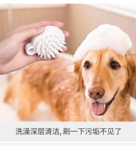 狗洗澡刷使用技巧 狗洗澡刷使用技巧