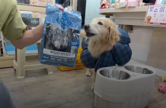 狗狗皮膚過敏飼料