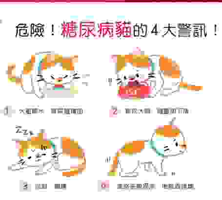 貓糖尿病風險 貓糖尿病風險