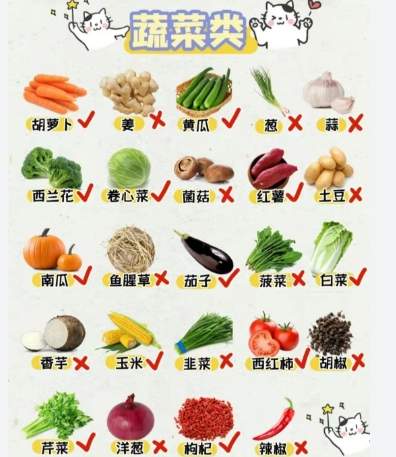 貓咪有毒蔬菜 貓咪有毒蔬菜