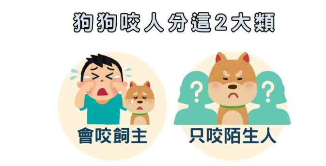 狗咬人處理 狗咬人處理