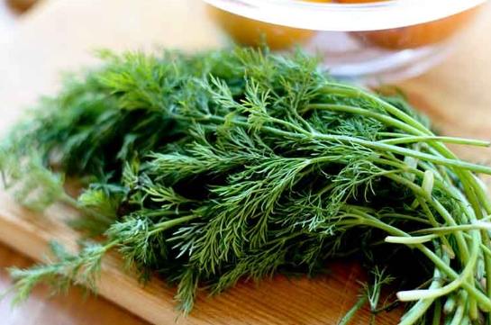 茴香用法 茴香用法
