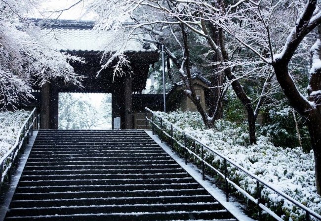 鎌倉冬季旅遊 鎌倉冬季旅遊