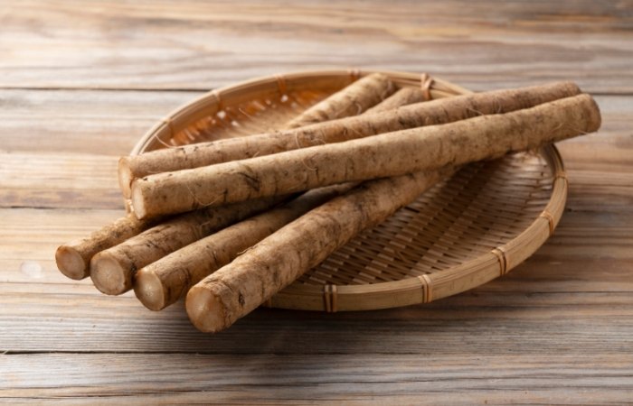 牛蒡狗 品牌推薦 牛蒡狗 品牌推薦