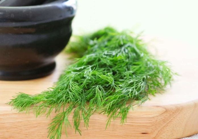茴香湯做法 茴香湯做法