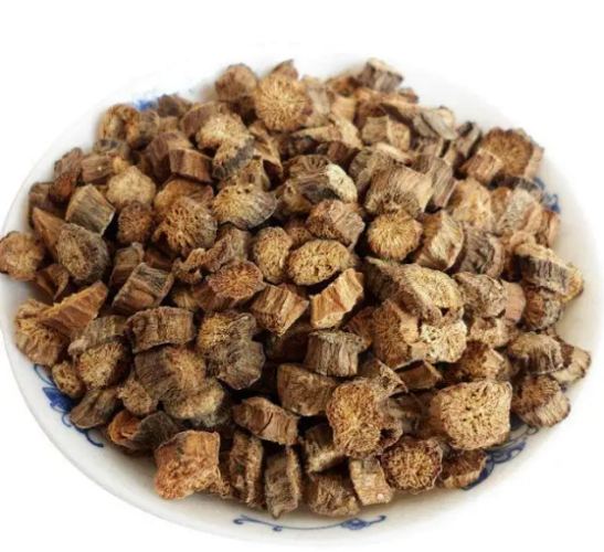 牛蒡狗 品牌推薦 牛蒡狗 品牌推薦
