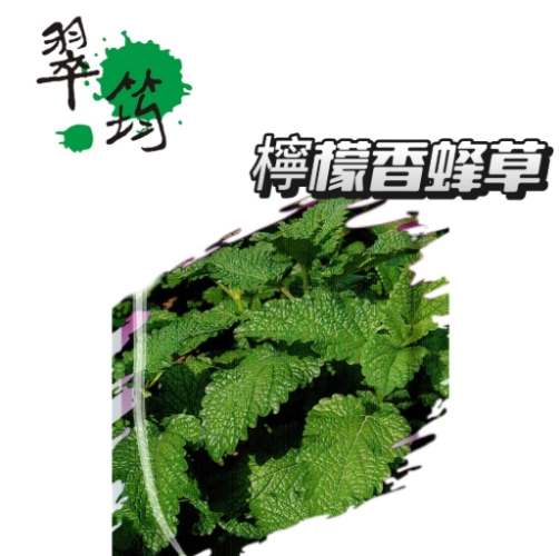 寵物天然護理 寵物天然護理