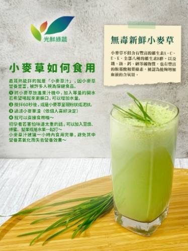 小麥草注意事項 小麥草注意事項