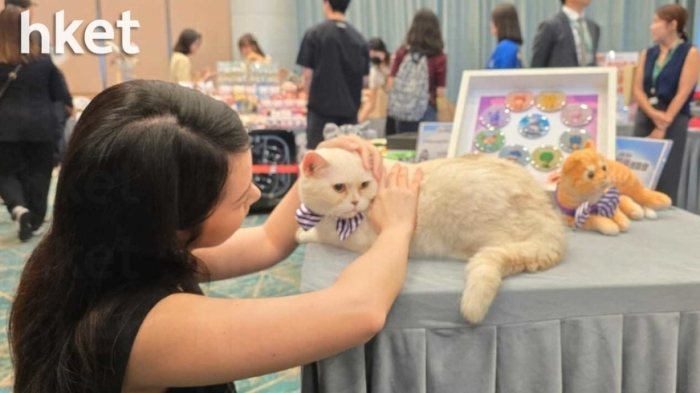 香港寵物飼養統計 香港寵物飼養統計