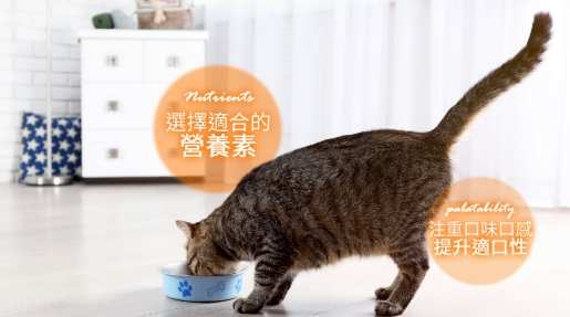 貓主食罐 貓主食罐