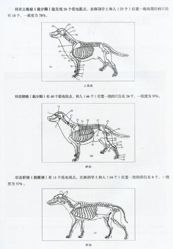 狗前庭炎治療