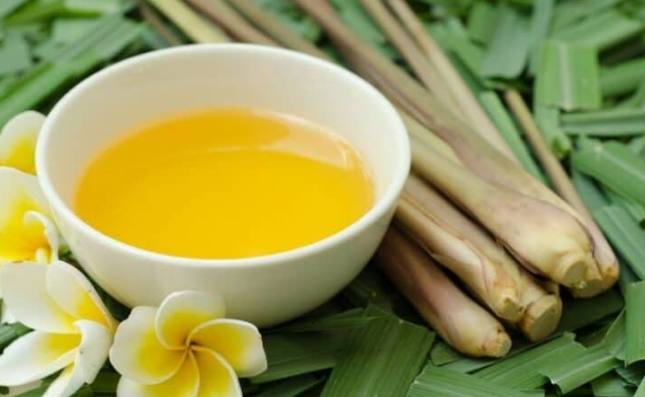 香茅油過敏 香茅油過敏