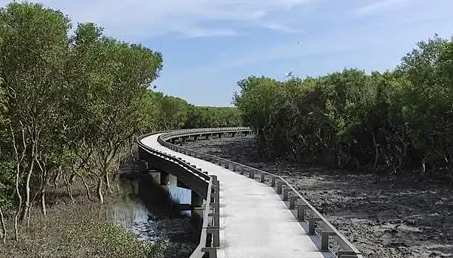 王功步道旅遊 王功步道旅遊