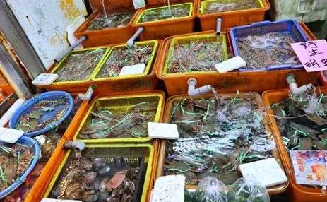 龜吼漁港購物 龜吼漁港購物