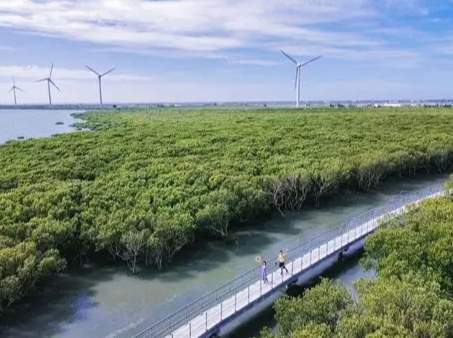 王功潮間帶步道 王功潮間帶步道