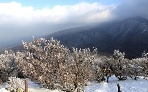 濟州島登山