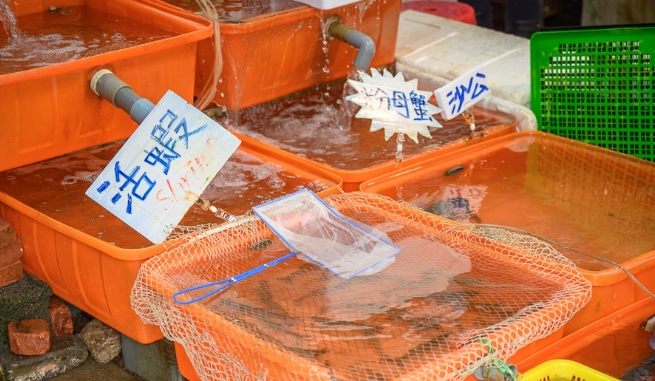 龜吼漁港海鮮 龜吼漁港海鮮