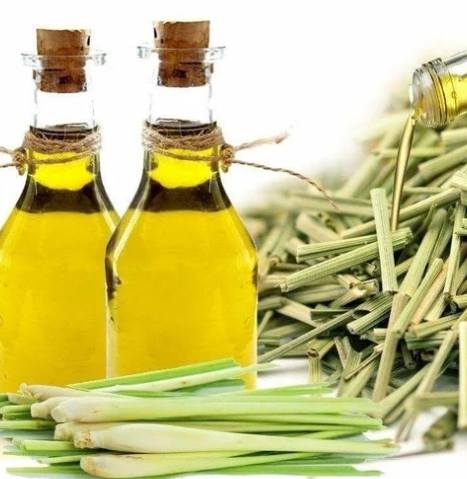 香茅油化學組成 香茅油化學組成
