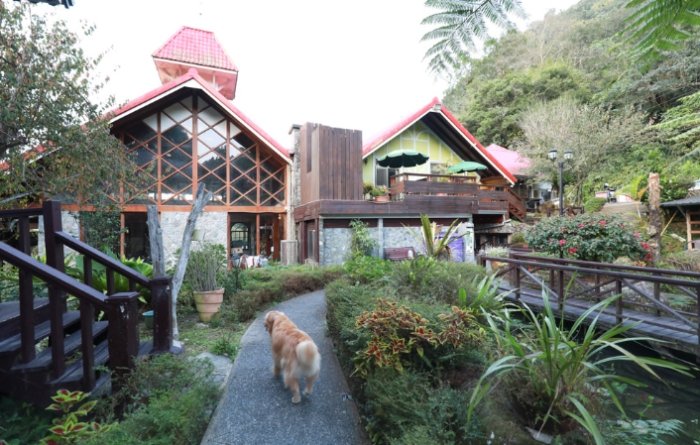 寵物住宿推薦 寵物住宿推薦