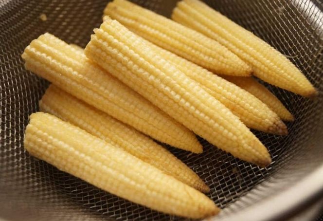 狗零食玉米筍 狗零食玉米筍