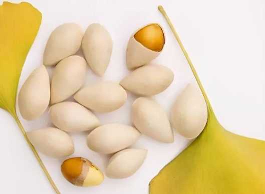 白果食用方法 白果食用方法