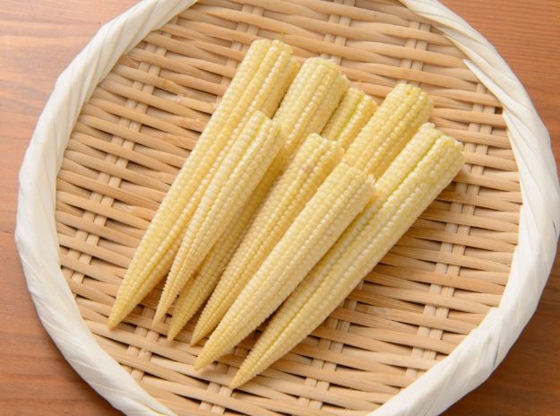 狗零食玉米筍 狗零食玉米筍