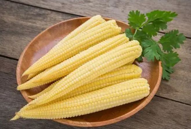 玉米筍狗食 玉米筍狗食