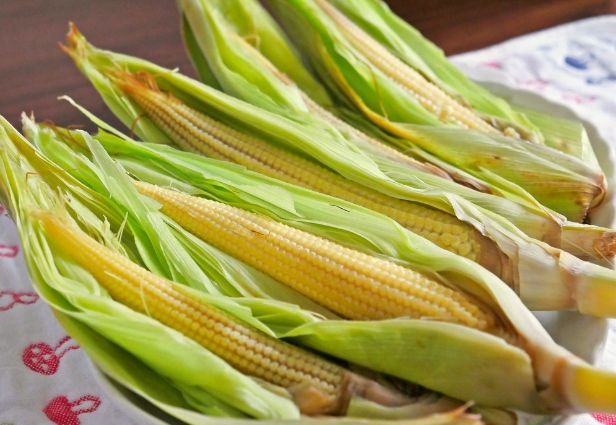 玉米筍狗食 玉米筍狗食