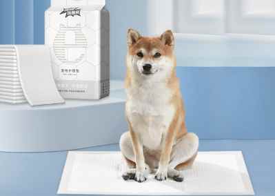 狗狗尿布墊清潔 狗狗尿布墊清潔
