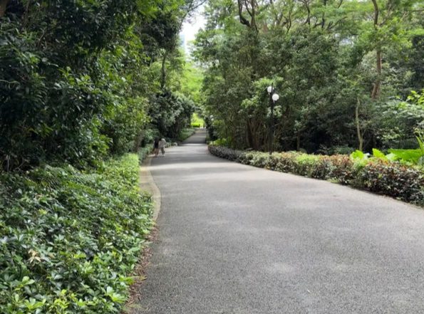 蓮花山公園風景 蓮花山公園風景