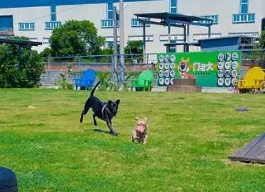 桃園寵物友善室內場所 桃園寵物友善室內場所