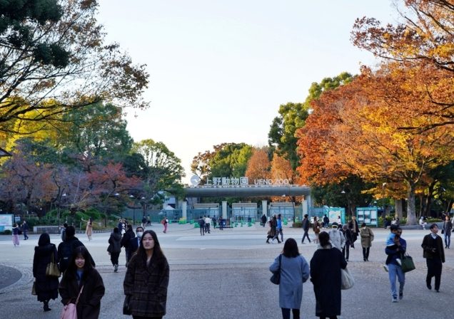 東京上野旅遊 東京上野旅遊