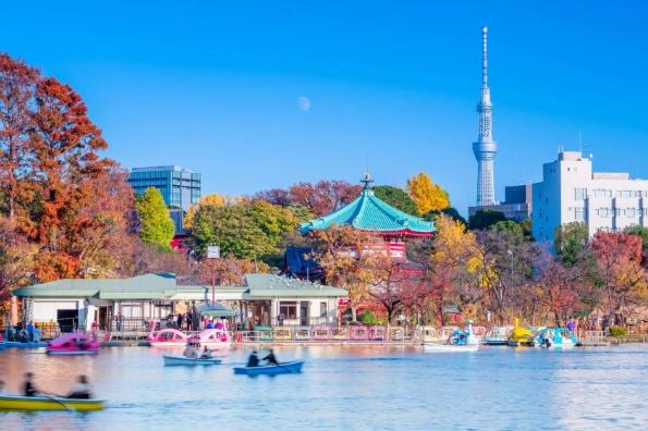 上野公園旅遊攻略 上野公園旅遊攻略