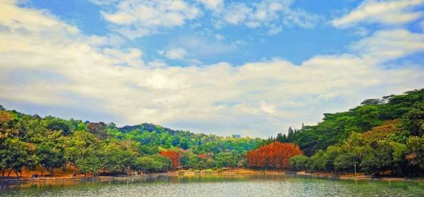 蓮花山公園風景 蓮花山公園風景