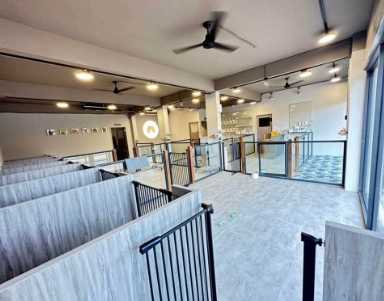 狗狗室內遊樂場桃園 狗狗室內遊樂場桃園