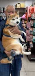 寵物飼養指南 寵物飼養指南