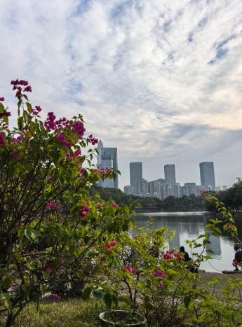 蓮花山公園交通 蓮花山公園交通