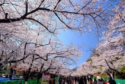 上野公園必去景點 上野公園必去景點