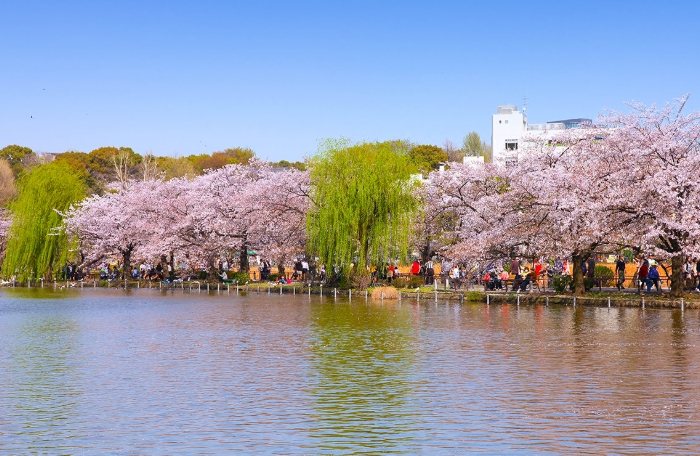 上野早晨景點 上野早晨景點