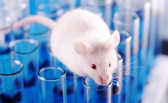 實驗動物科學指南 實驗動物科學指南