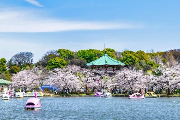 上野公園旅遊攻略 上野公園旅遊攻略