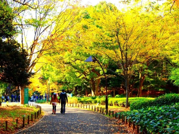上野公園旅遊攻略 上野公園旅遊攻略
