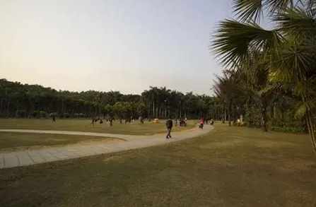 蓮花山公園風景 蓮花山公園風景
