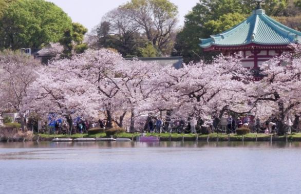 上野公園交通方式 上野公園交通方式