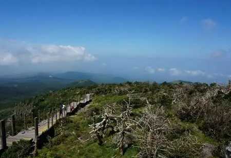 濟州島漢拿山登山 濟州島漢拿山登山