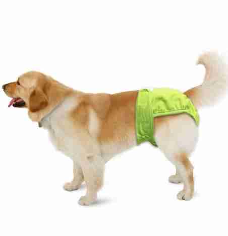 老年犬尿布 老年犬尿布
