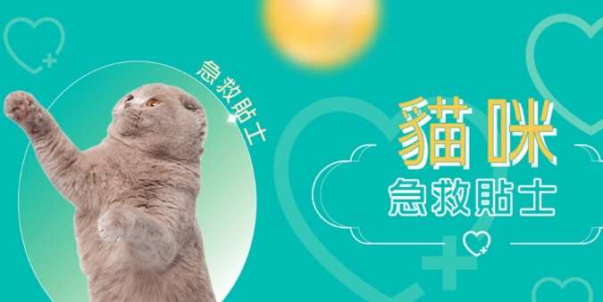 貓癲癇症狀 貓癲癇症狀