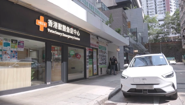 寵物急診處理 寵物急診處理