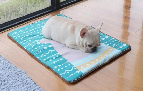 狗狗降溫墊使用技巧