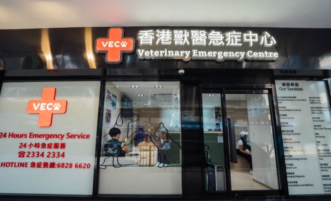 獸醫急症症狀 獸醫急症症狀